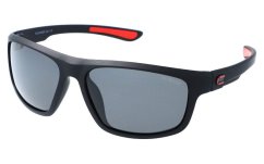 Polarizačné okuliare pánske PolarZone 446-8