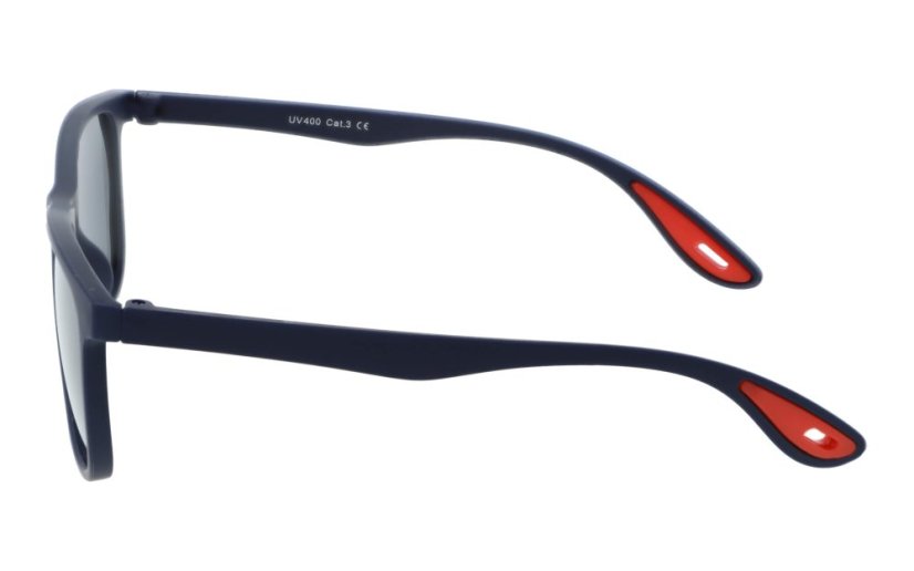 Pánske polarizačné slnečné okuliare Revers Polarized RP68-10